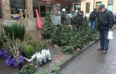 Во Львове есть 28 мест, где можно купить 