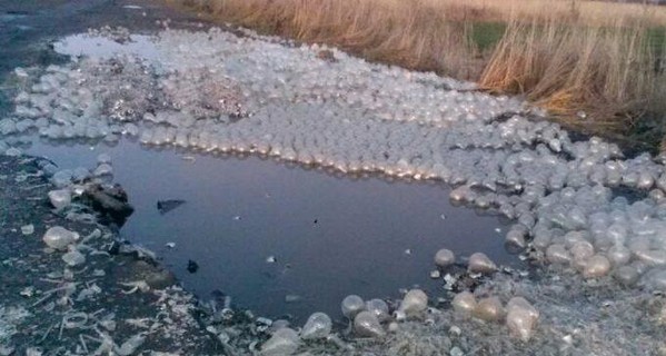 На Львовщине ямы на дороге засыпали электрическими лампочками