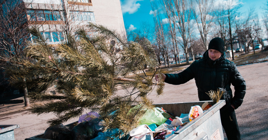 Новогодние елки запорожцев пойдут на удобрения