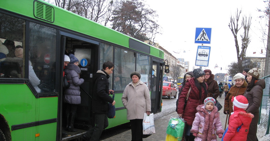 Во Львове ночные автобусы решили оставить