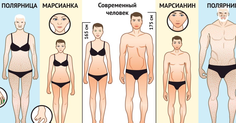 Наши потомки будут чем-то похожи на орангутангов?