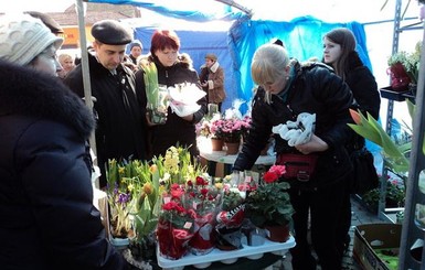 К 8 марта мужчины предпочитают дарить не букеты, а цветочную 