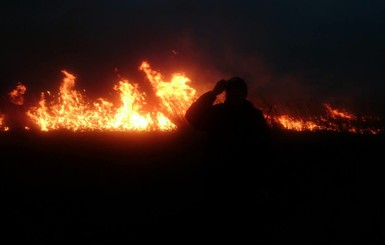 Возле Арена-Львов на площади 400 метров квадратных горит трава.