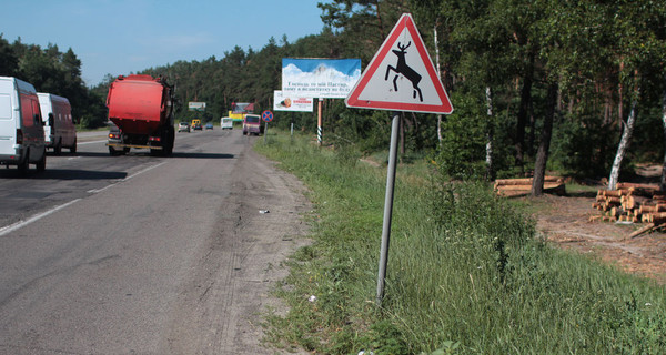 На Житомирщине в ДТП погиб нацгвардеец, травмированы граждане США