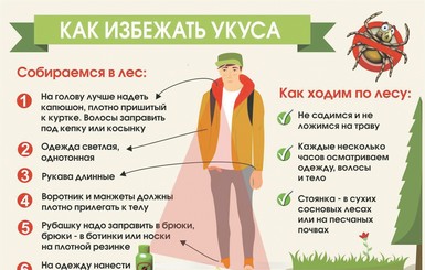 Как защититься от клещей