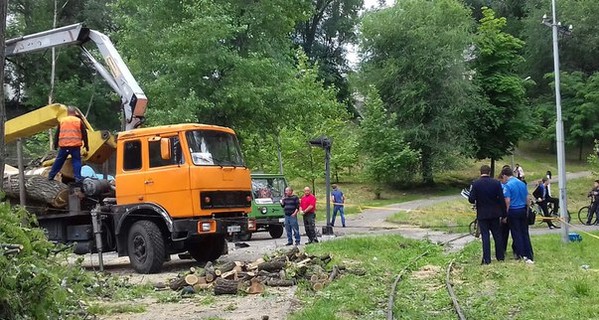 В Днепре в детском парке пострадали полуторагодовалая девочка и двое мужчин