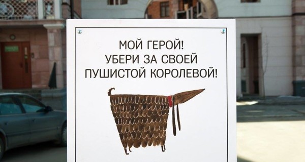 Как домашние питомцы воспитывают своих хозяев: новая соцреклама взорвала интернет