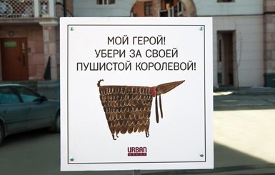 Как домашние питомцы воспитывают своих хозяев: новая соцреклама взорвала интернет