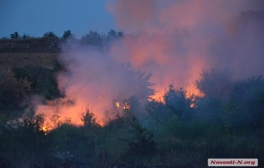 В Николаеве случился масштабный пожар на свалке