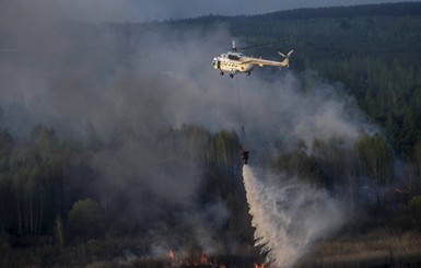 В Зоне отчуждения горит лес, задействована авиация