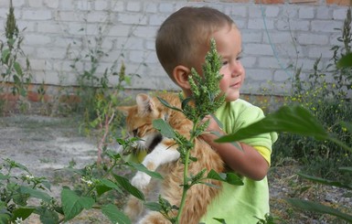 Малышу, изувеченного ножом от косилки, нужна титановая пластина