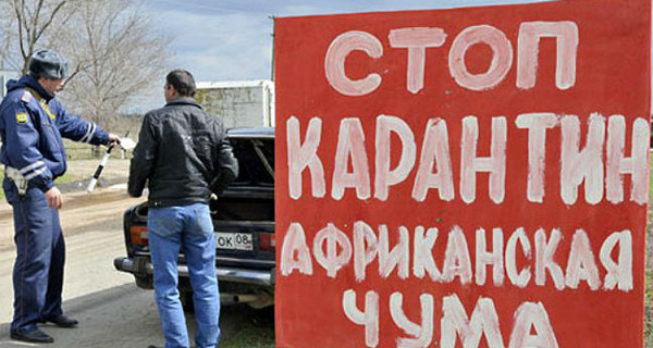 В Николаевской области нашли могильник свиней, погибших от африканской чумы