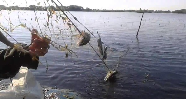 Пограничники задержали румынских рыбаков-нелегалов 