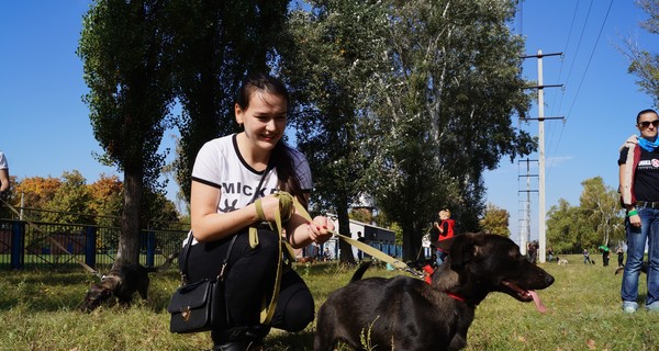 Команда студентов Enactus ХНЕУ провели фестиваль заботы о домашних и беспризорных животных