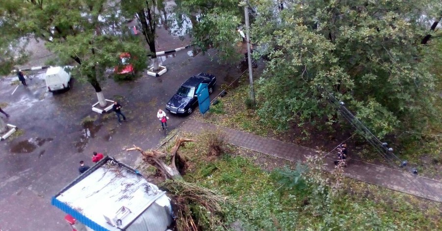 В Днепре ураганный ветер валит деревья и обрывает провода