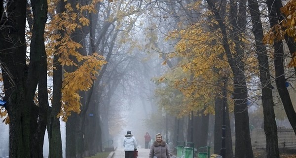 Сегодня днем, 4 ноября, в Украине местами потеплеет до 11 градусов