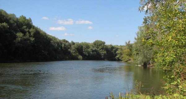 В Луганской области химзавод загрязнил воду отходами