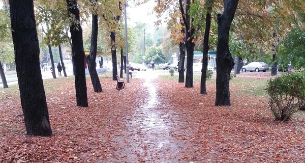 В воскресенье, 20 ноября, днем станет еще теплее