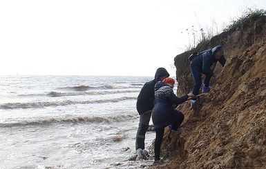 Под Мариуполем нашли доисторического слона