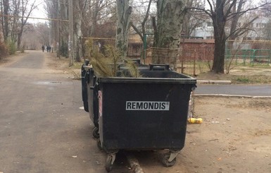 В Запорожской области елку выкинули всего за месяц до Нового года