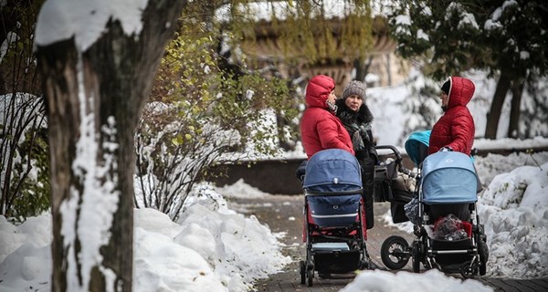 Сегодня днем, 29 ноября, пройдет снег