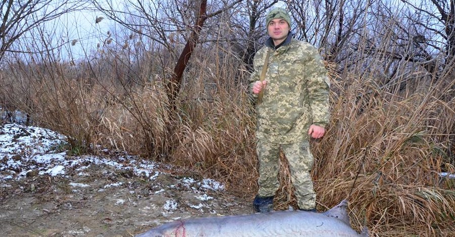 В Одесской области убили двухметровую белугу, занесенную в Красную книгу