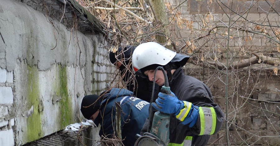 В Днепре собаку спасали с помощью болгарки