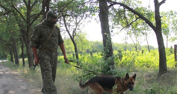 Дело о нападении овчарок на участника АТО взял под личный контроль губернатор Киевщины