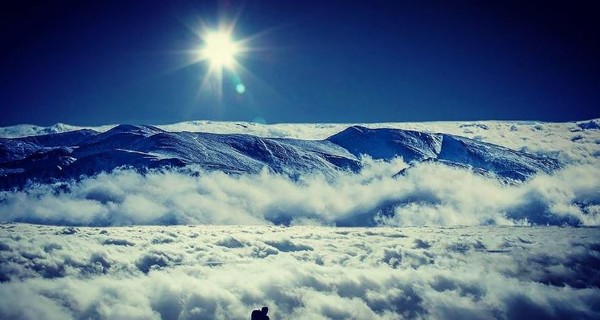 В Сети показали удивительные зимние пейзажи Карпат