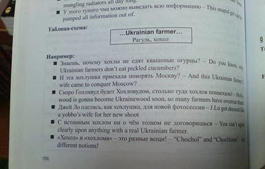 Во Львове разгорелся скандал вокруг учебника английского с 