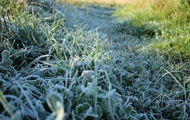 Сегодня днем, 20 февраля, в Украине от 5 до 9 тепла