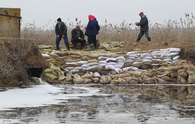 На стихийных рынках Киева увеличились продажи рыбы из 