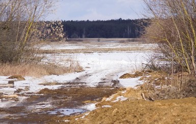 Харьковская полиция опубликовала фото с места сожжения юной девушки 