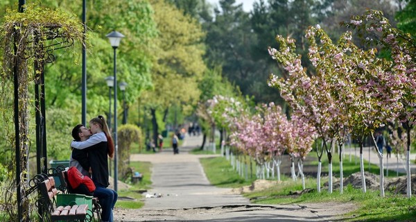 В день весеннего равноденствия загадываем желание и не ругаемся