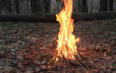 Мужчина сгорел в костре во время пасхального пикника 