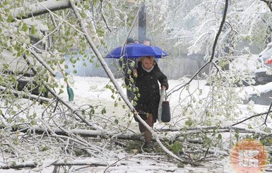 Похожий снегопад в апреле случился после Чернобыльской катастрофы