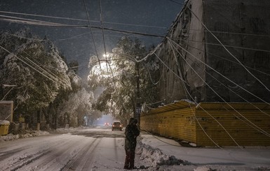 Фотограф показал 