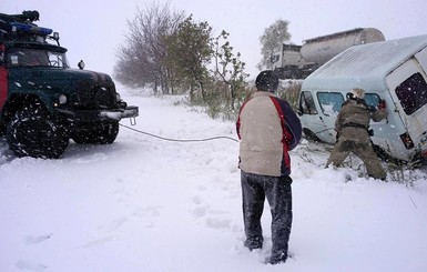 Из-за непогоды в Украине рухнули почти 4 тысячи деревьев