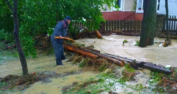 В Украине из-за урагана без света остается  121 населенный пункт