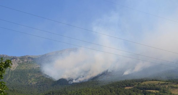 В Крыму тушат лесные пожары