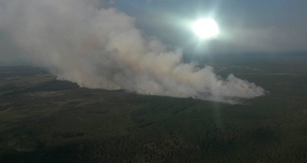 В Житомирской области продолжает гореть заповедник на границе с Беларусью