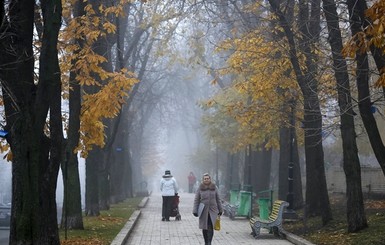 Сегодня днем, 14 сентября, станет теплее. Без осадков