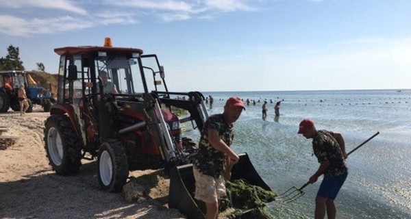 Кабмин приказал углубить Азовское море