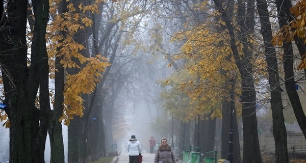 Завтра, 16 сентября, ночью станет холоднее