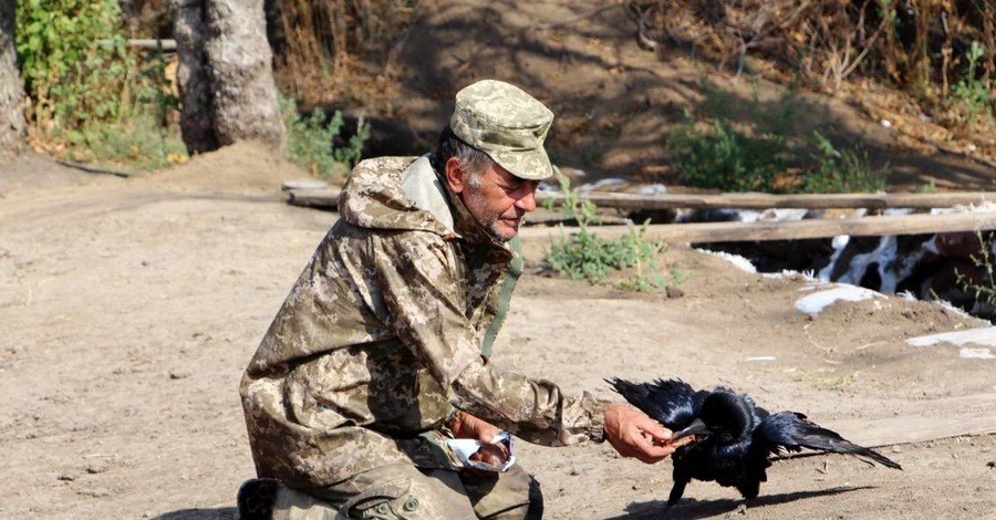 Бойцы АТО похвастались боевым вороном