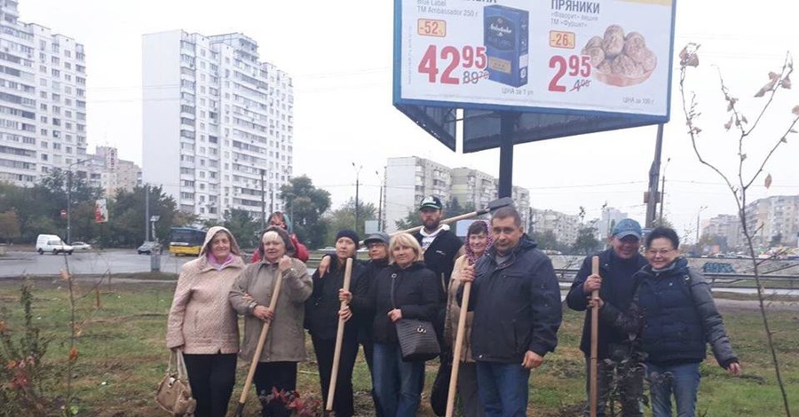 На Ревуцкого в столице высадили аллею примирения из канадских кленов