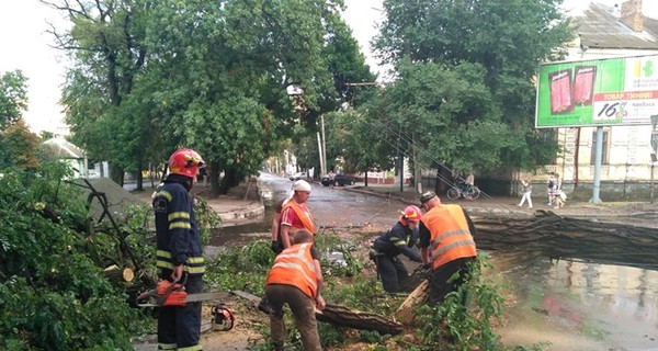 Бабье лето отменяется: в ближайшие дни Украину ждут вихри и шквальный ветер