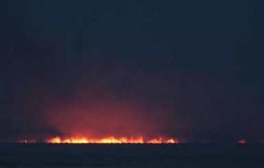 В Одесской области горит Нижнеднестровский парк