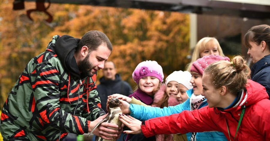 В Харькове одинокому пингвину придется дружить с фламинго