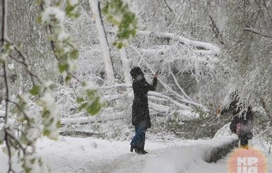 Сегодня днем, 31 октября, в большинстве регионов пройдет мокрый снег с дождем